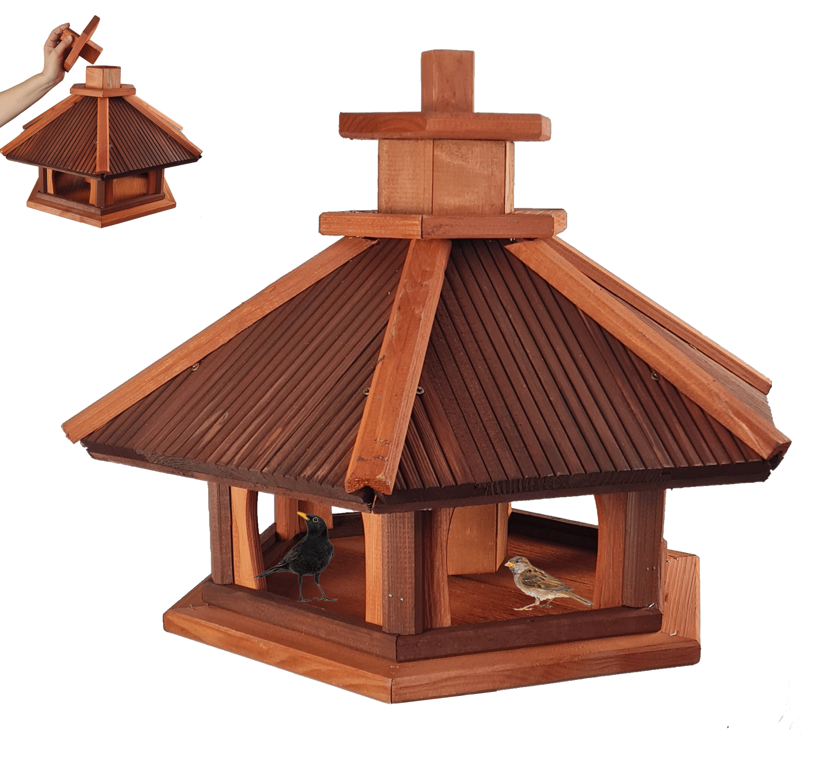 Bird Feeder with Feed Silo, Size XXL, Varnish Alder - Rosewood - Click Image to Close